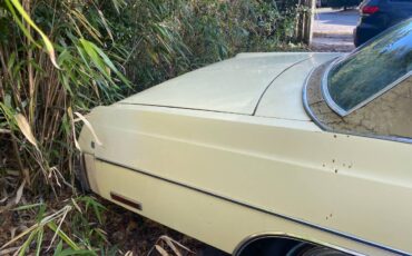 Chrysler-newport-1977-yellow-4