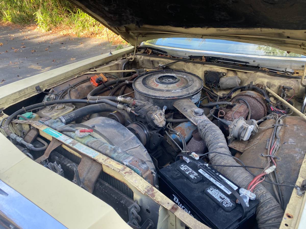 Chrysler-newport-1977-yellow-5