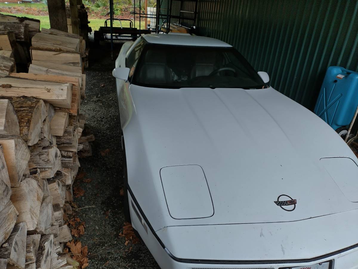 Corvette-1990-white