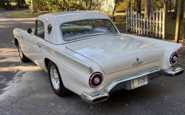 D7fh289302-1957-white-2