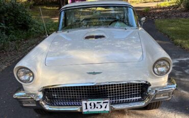 D7fh289302-1957-white-3