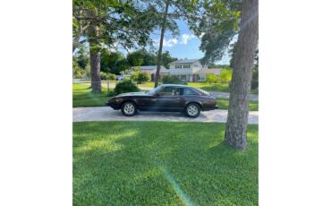 Datsun-280zx-1982-brown-tan-7