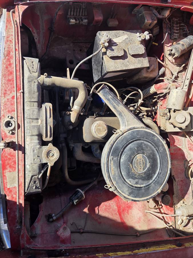 Datsun-411-1967-red-5