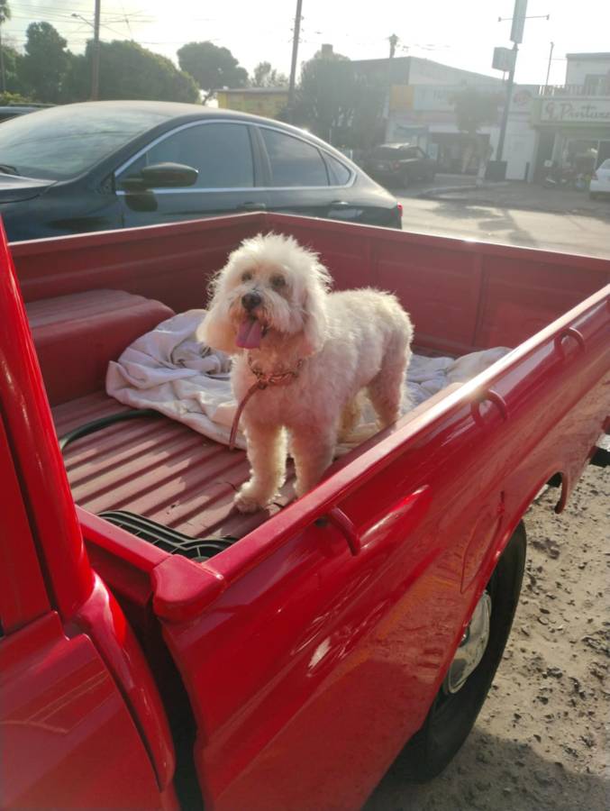 Datsun-521-1972-red-5
