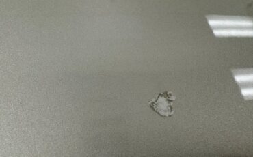 Datsun-Other-1984-Light-Pewter-Metalli-Black-4