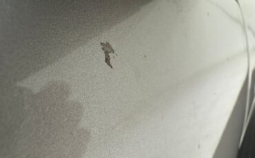 Datsun-Other-1984-Light-Pewter-Metalli-Black-42