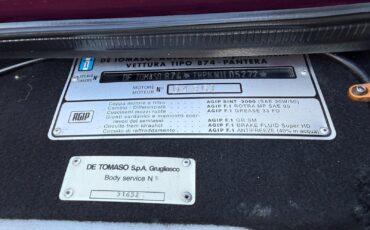 De-Tomaso-Pantera-1973-coupe-31