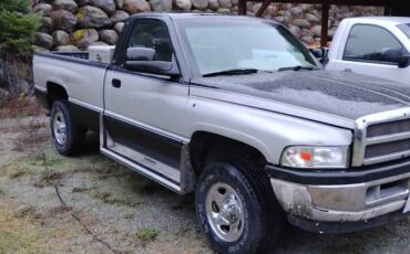 Dodge-1500-1996-1