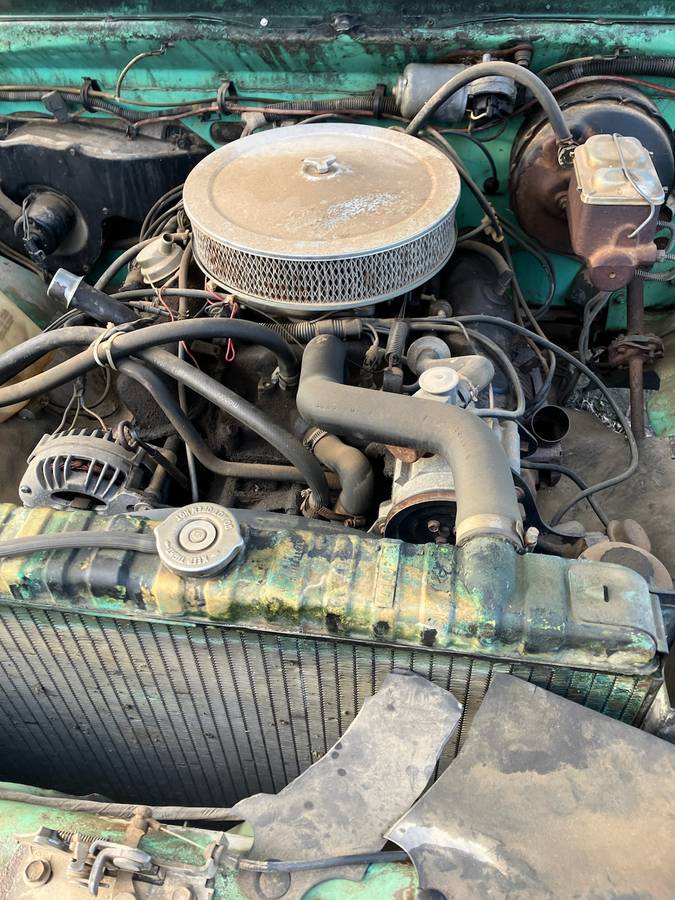 Dodge-250-1985-green-2