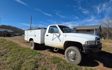 Dodge-3500-1996-white