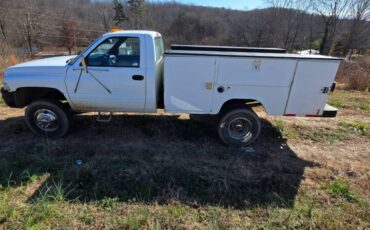 Dodge-3500-1996-white-4
