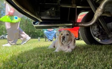 Dodge-Business-Coupe-1948-28