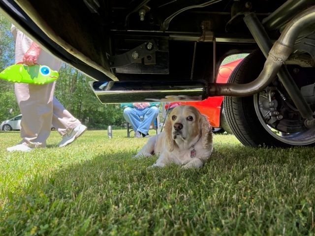 Dodge-Business-Coupe-1948-28