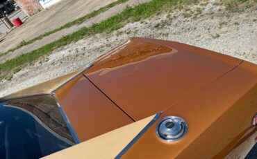 Dodge-Charger-1969-31