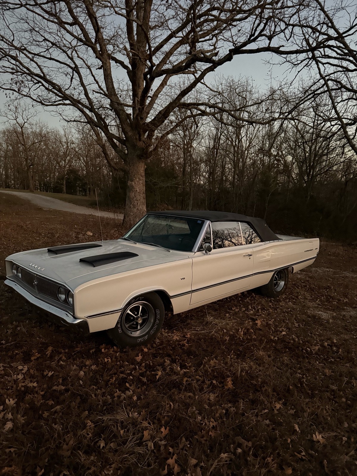 Dodge-Coronet-1967-1