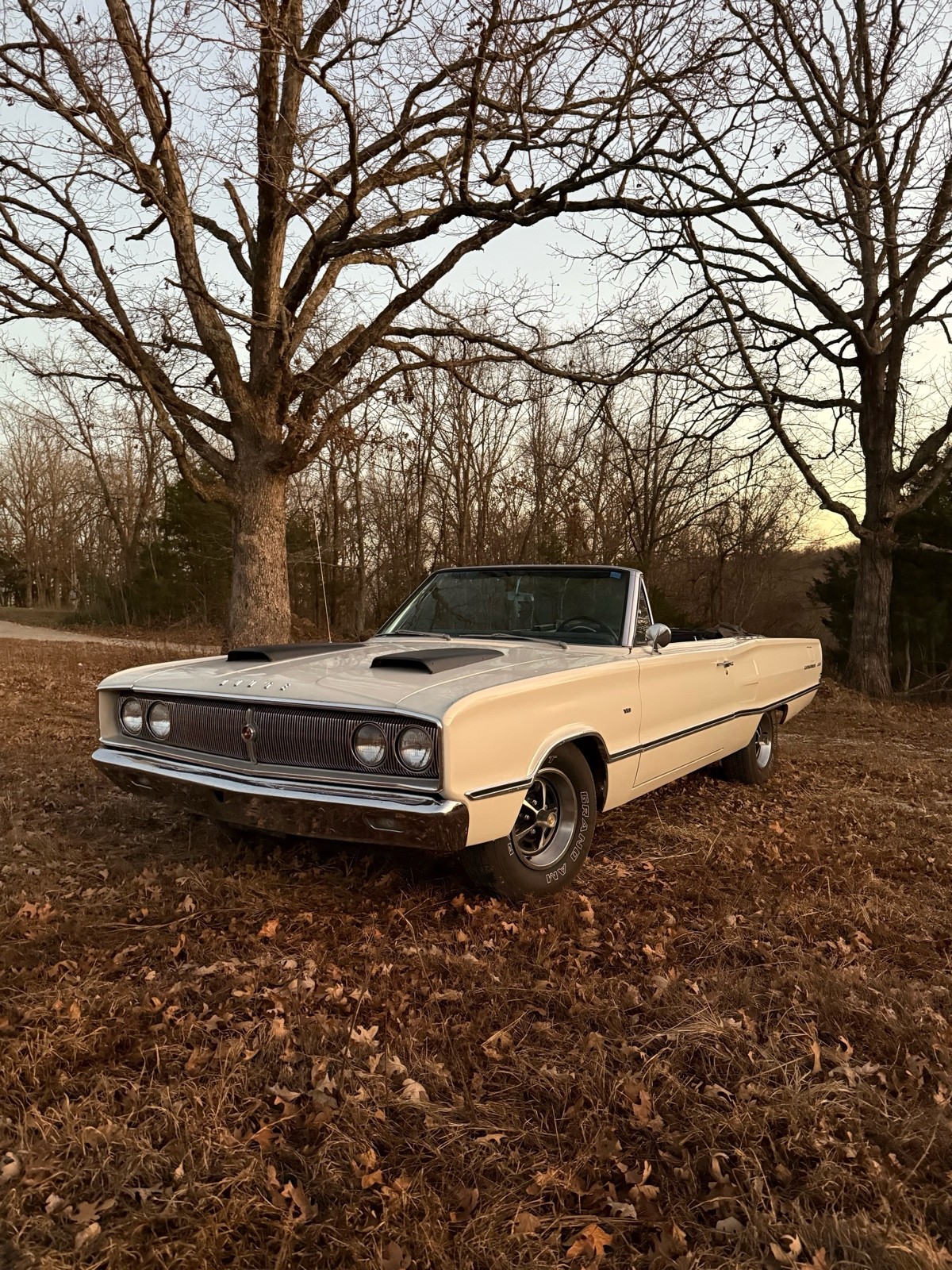 Dodge-Coronet-1967-10