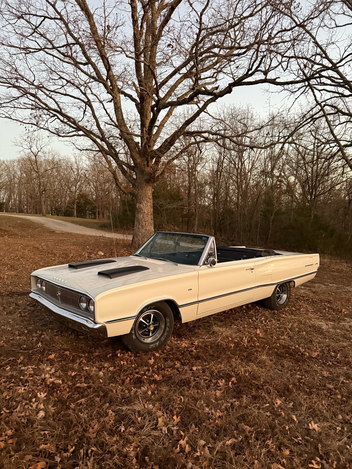 Dodge-Coronet-1967-3