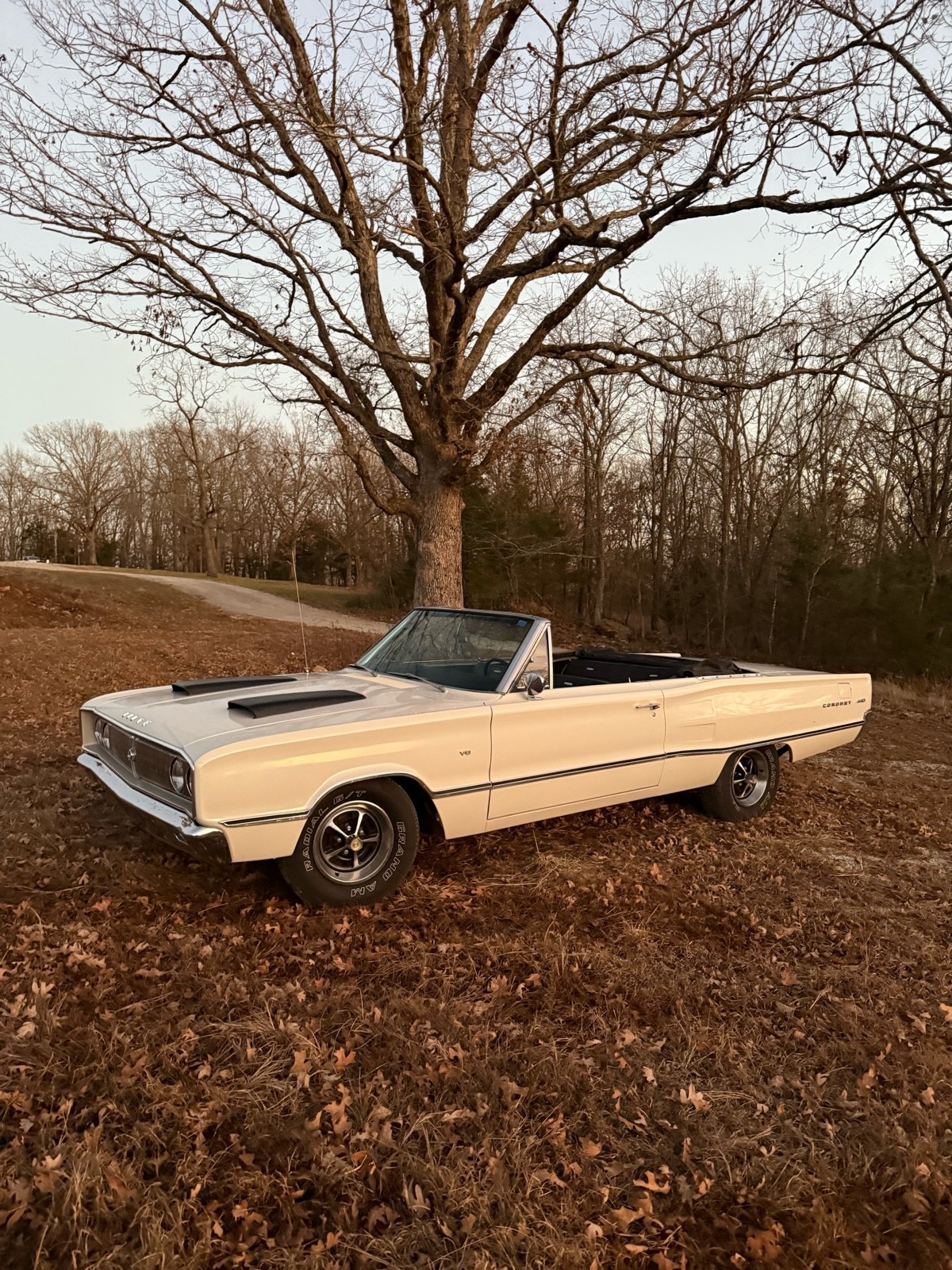 Dodge-Coronet-1967-9