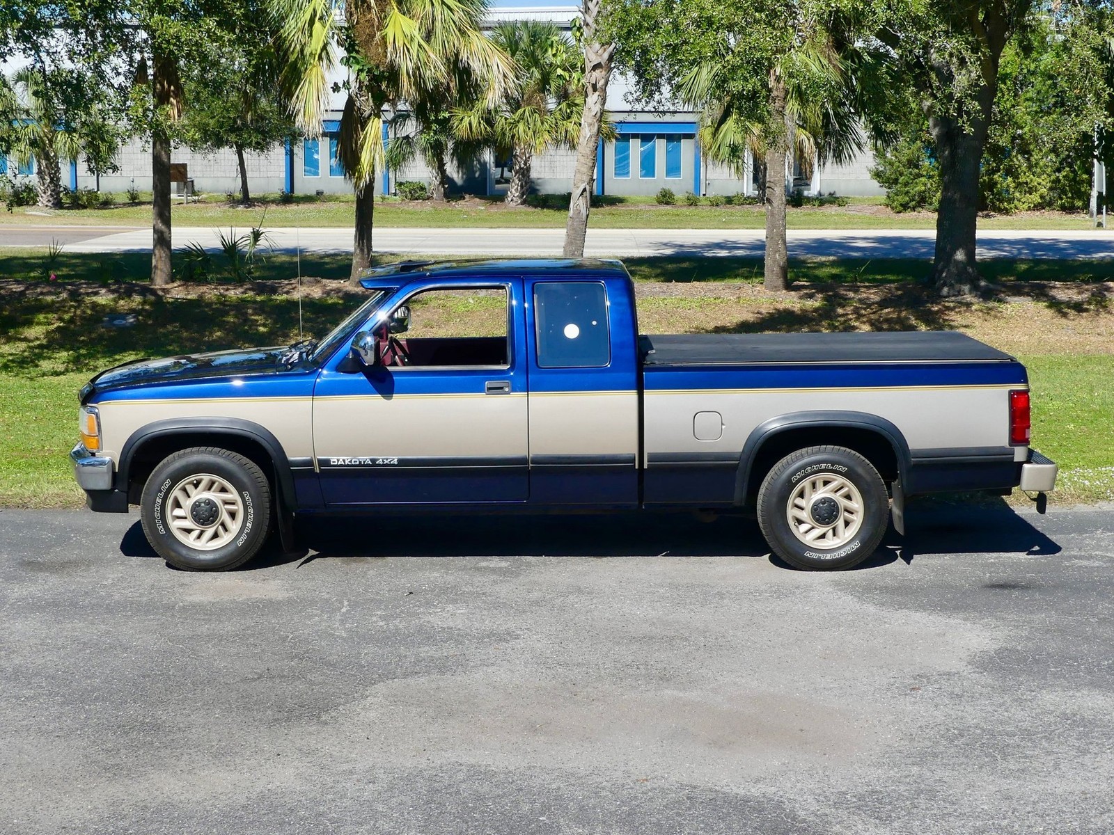 Dodge-Dakota-1993-Pickup-Truck-10