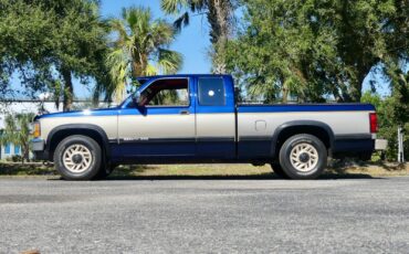 Dodge-Dakota-1993-Pickup-Truck-11