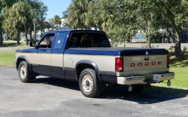 Dodge-Dakota-1993-Pickup-Truck-12