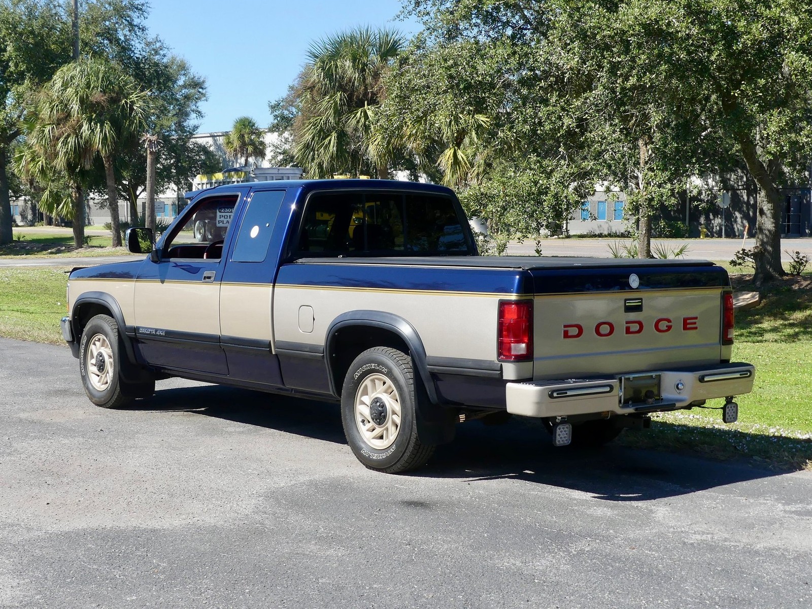 Dodge-Dakota-1993-Pickup-Truck-12