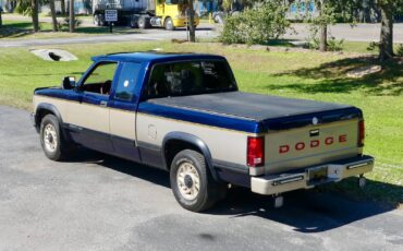 Dodge-Dakota-1993-Pickup-Truck-13