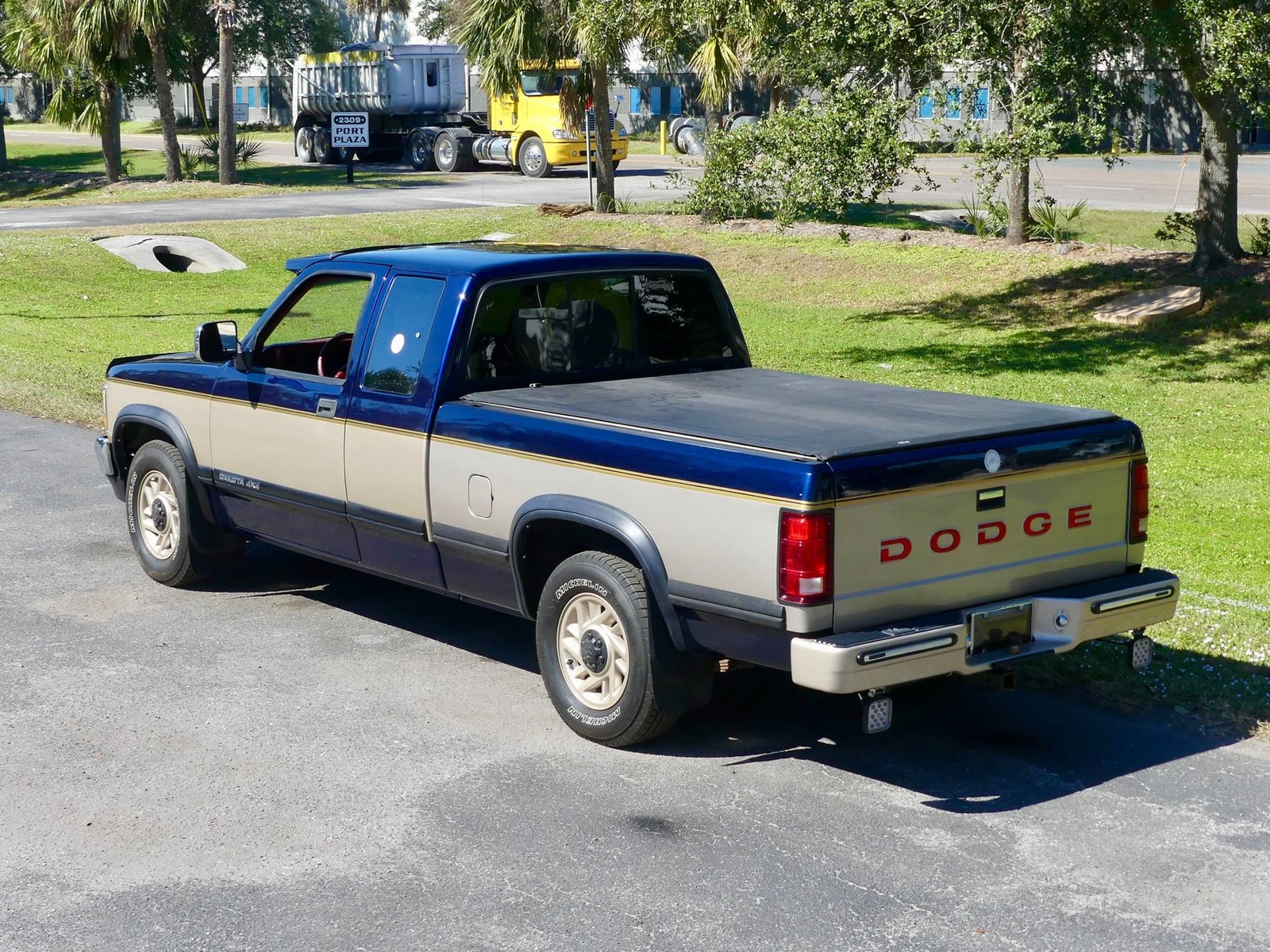 Dodge-Dakota-1993-Pickup-Truck-13