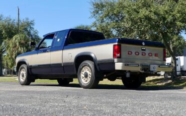 Dodge-Dakota-1993-Pickup-Truck-14