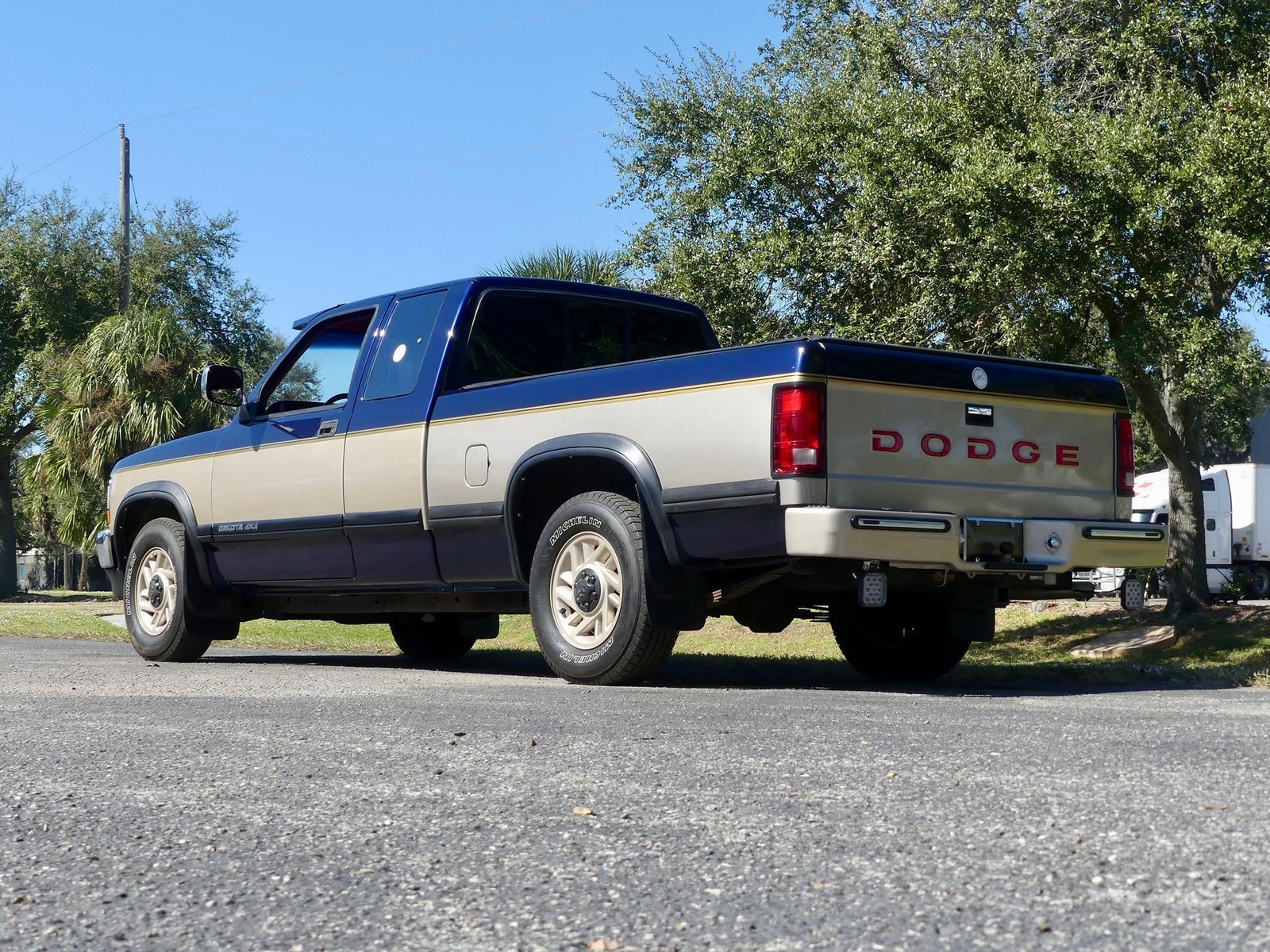 Dodge-Dakota-1993-Pickup-Truck-14