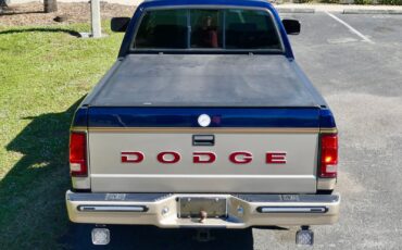 Dodge-Dakota-1993-Pickup-Truck-16