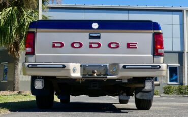 Dodge-Dakota-1993-Pickup-Truck-17