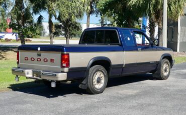 Dodge-Dakota-1993-Pickup-Truck-18