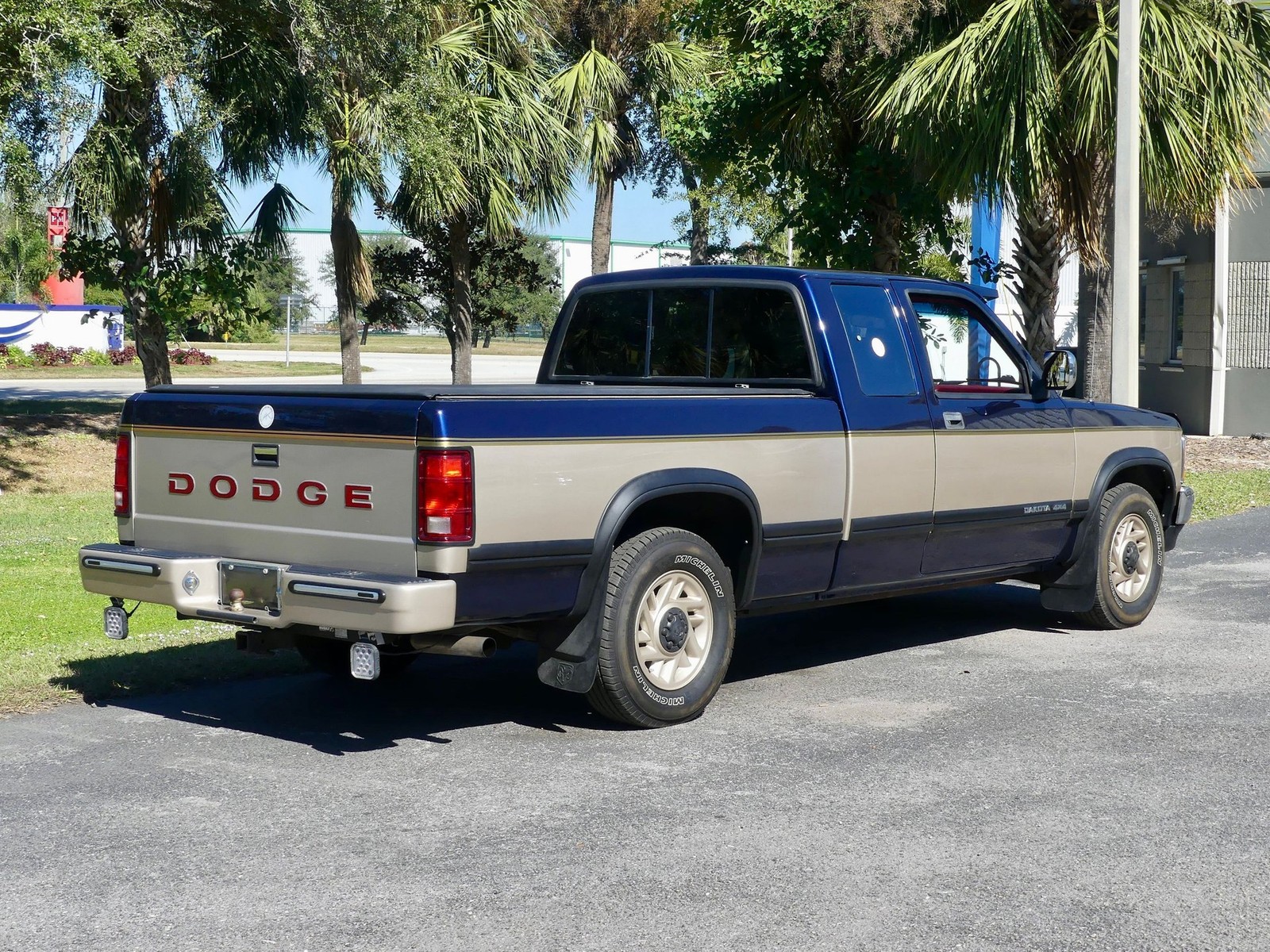Dodge-Dakota-1993-Pickup-Truck-18