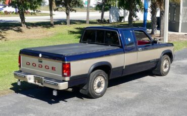 Dodge-Dakota-1993-Pickup-Truck-19