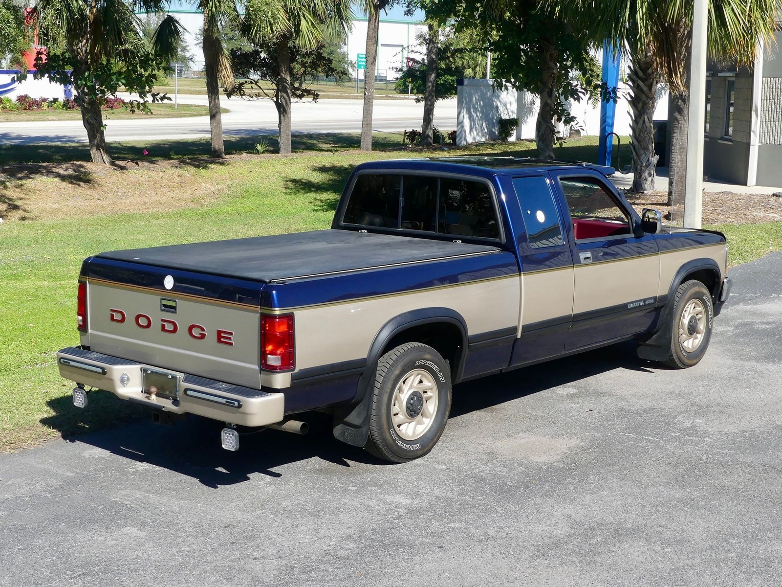 Dodge-Dakota-1993-Pickup-Truck-19