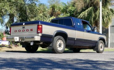 Dodge-Dakota-1993-Pickup-Truck-20
