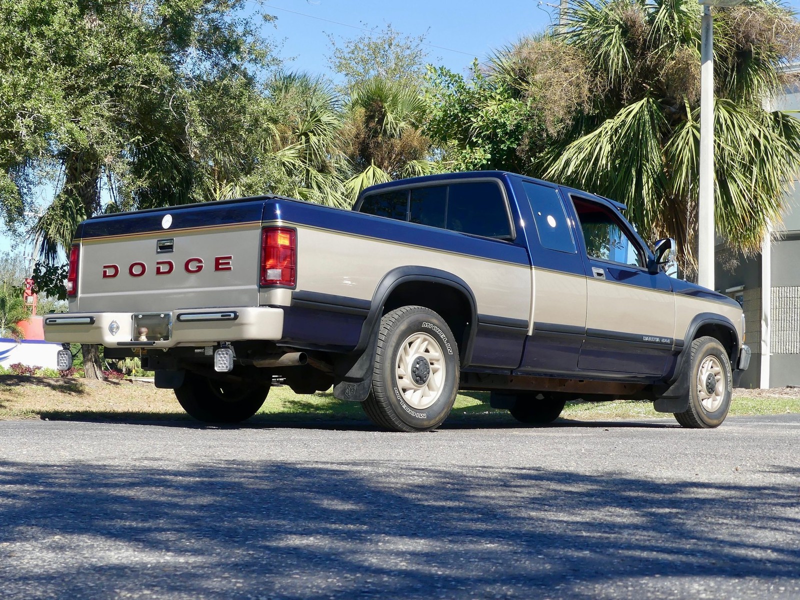 Dodge-Dakota-1993-Pickup-Truck-20
