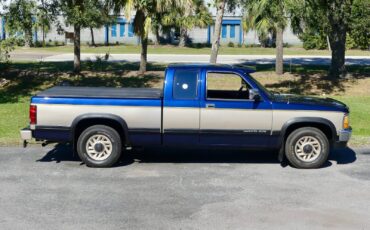 Dodge-Dakota-1993-Pickup-Truck-21