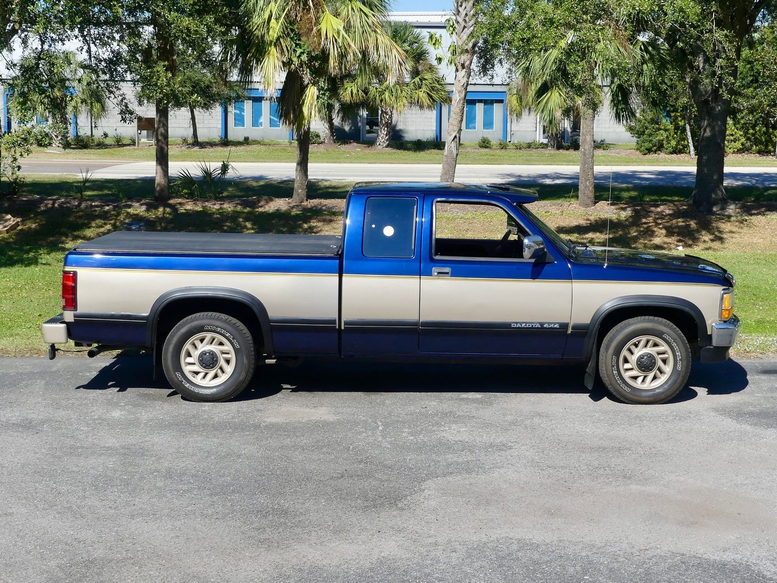 Dodge-Dakota-1993-Pickup-Truck-21