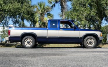 Dodge-Dakota-1993-Pickup-Truck-22