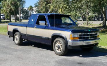 Dodge-Dakota-1993-Pickup-Truck-23
