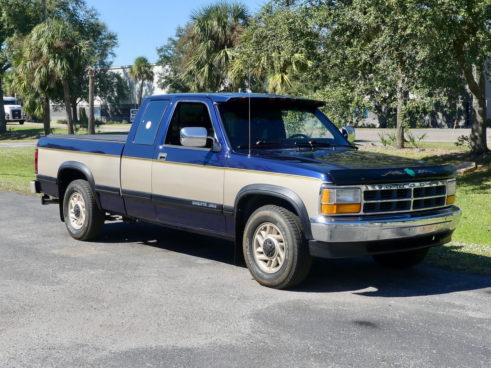 Dodge-Dakota-1993-Pickup-Truck-23