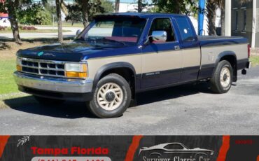 Dodge-Dakota-1993-Pickup-Truck