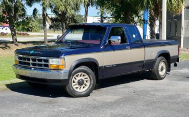 Dodge-Dakota-1993-Pickup-Truck-6