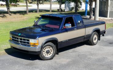 Dodge-Dakota-1993-Pickup-Truck-7