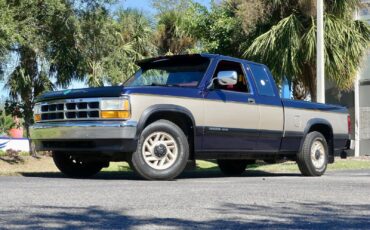 Dodge-Dakota-1993-Pickup-Truck-8