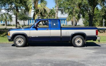 Dodge-Dakota-1993-Pickup-Truck-9