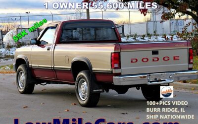 Dodge Dakota 1993 Standard Cab Pickup