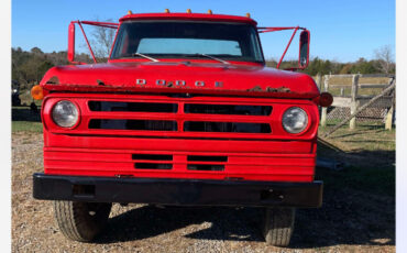 Dodge-Other-Pickups-1973-Cab-Chassis-28